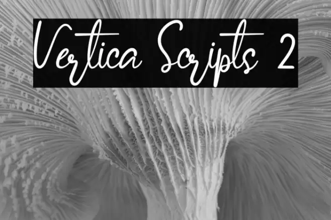 Vertica Scripts 2 Font examples