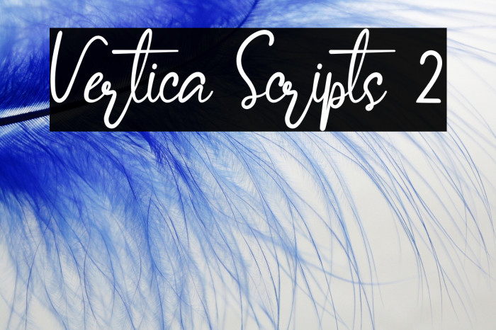 Vertica Scripts 2 Example 2