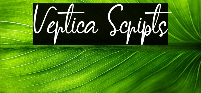 Vertica Scripts Example 1