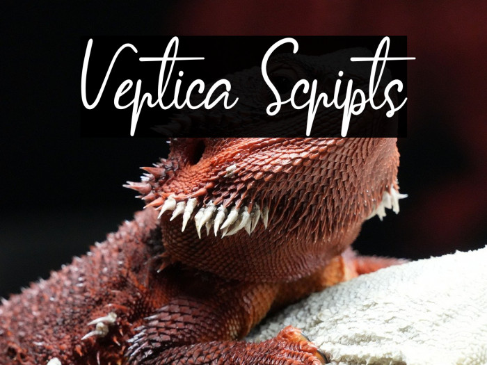 Vertica Scripts Example 2