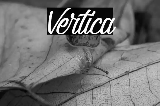 Vertica Font examples