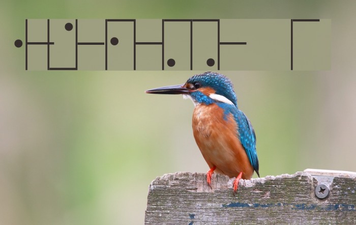 Vertical A Font examples