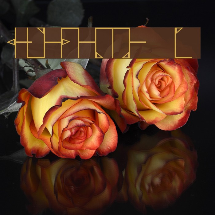 Vertical B Font examples
