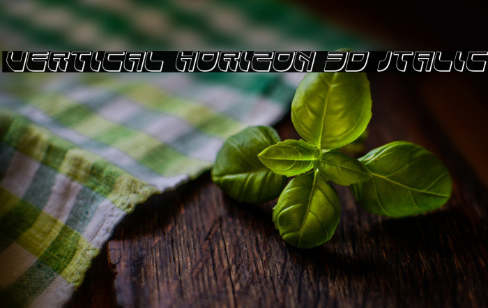 Vertical Horizon 3D Italic Example 3