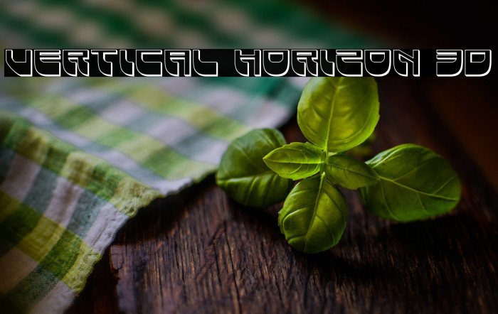 Vertical Horizon 3D Example 3