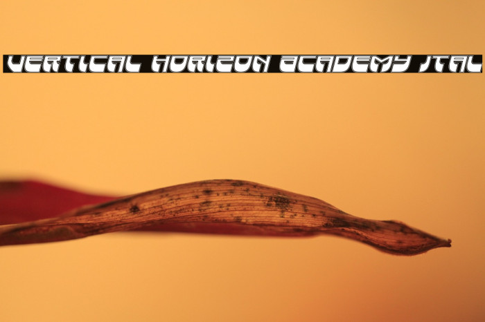 Vertical Horizon Academy Ital Example 1