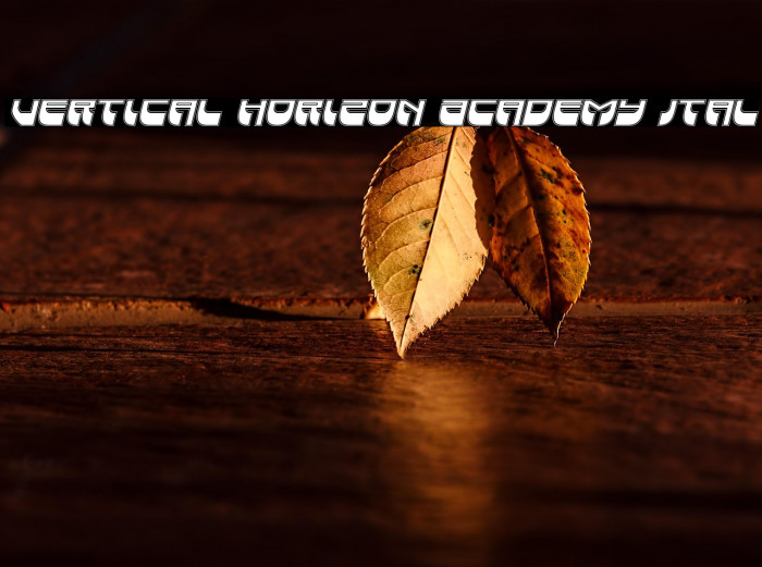 Vertical Horizon Academy Ital Example 3