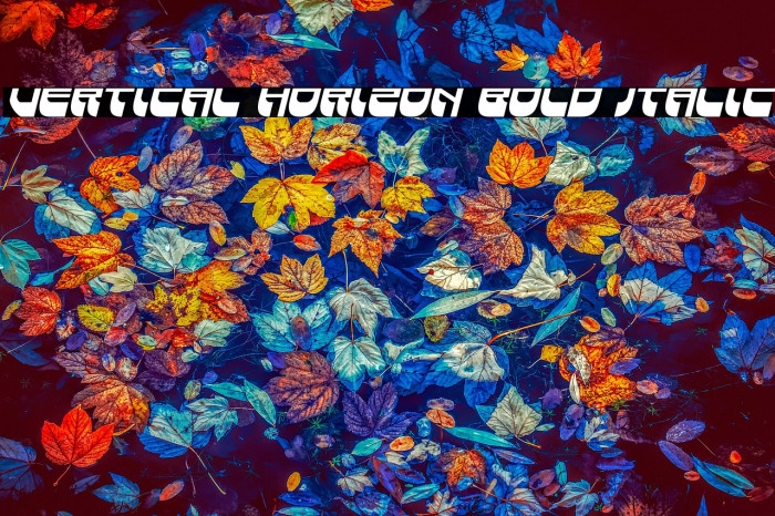 Vertical Horizon Bold Italic Example 3