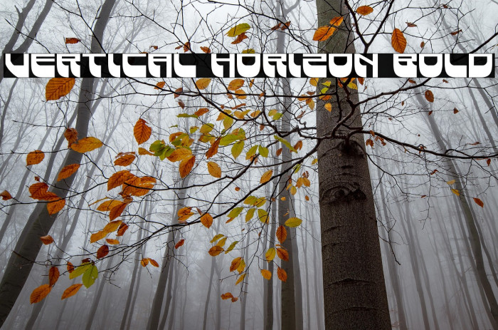 Vertical Horizon Bold Example 1