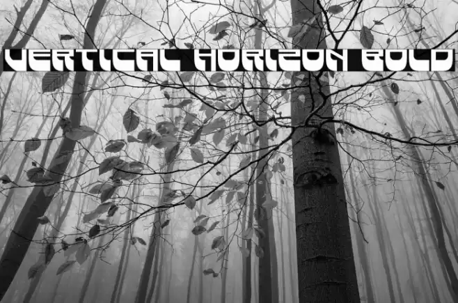 Vertical Horizon Bold Font examples