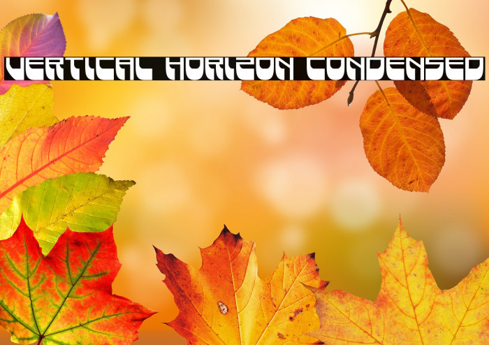 Vertical Horizon Condensed Example 1