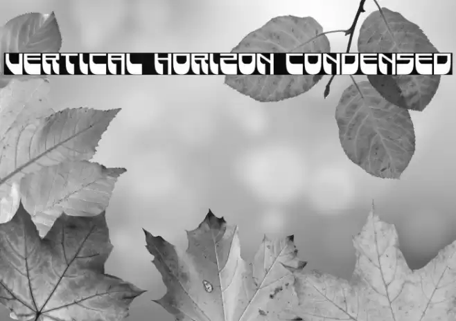 Vertical Horizon Condensed Font examples