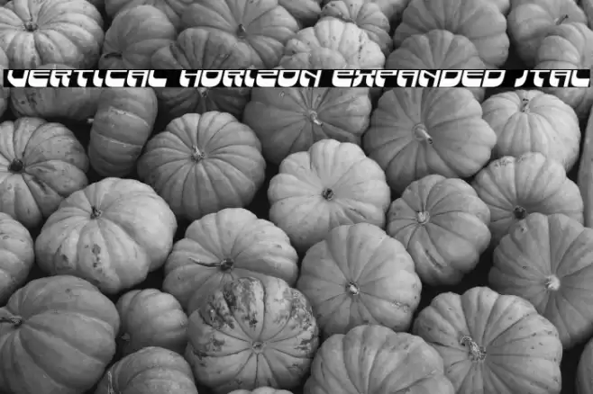 Vertical Horizon Expanded Ital Font examples