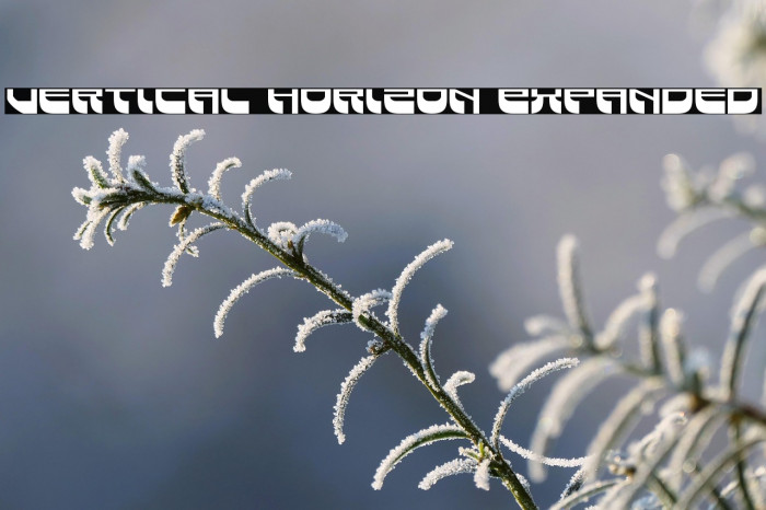 Vertical Horizon Expanded Example 2