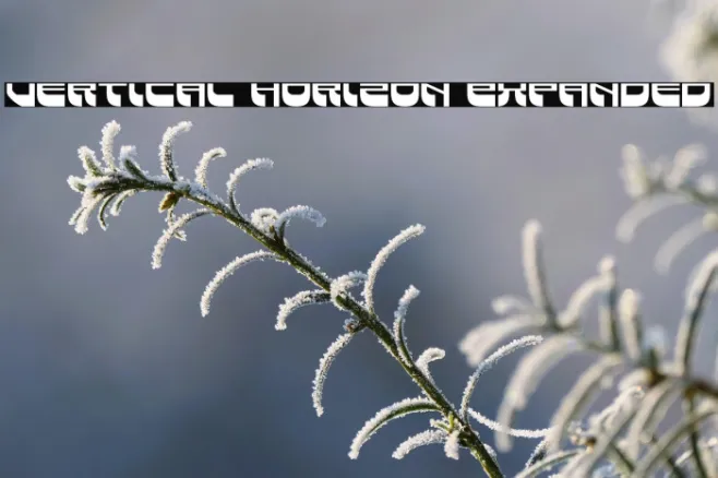 Vertical Horizon Expanded Example 2