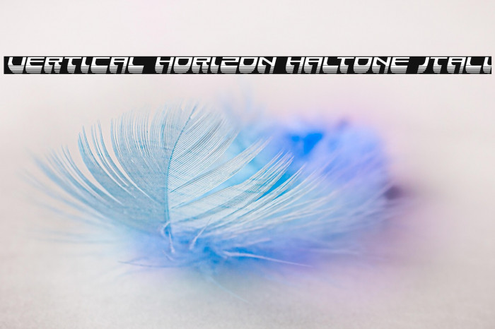 Vertical Horizon Haltone Itali Example 2