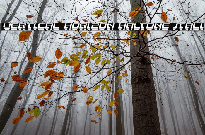 Vertical Horizon Haltone Itali Example 3