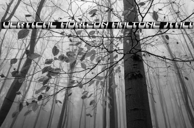 Vertical Horizon Haltone Itali Font examples