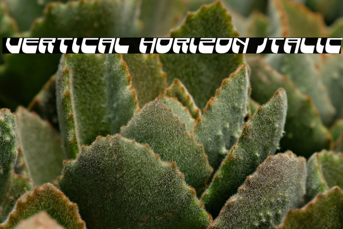 Vertical Horizon Italic Example 3