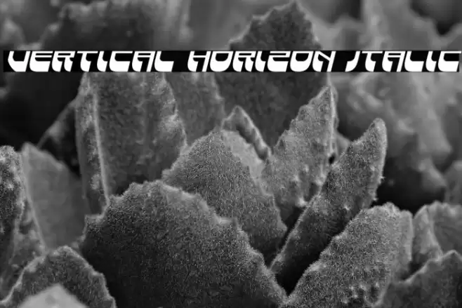 Vertical Horizon Italic Font examples