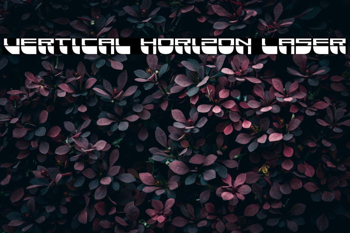 Vertical Horizon Laser Example 1