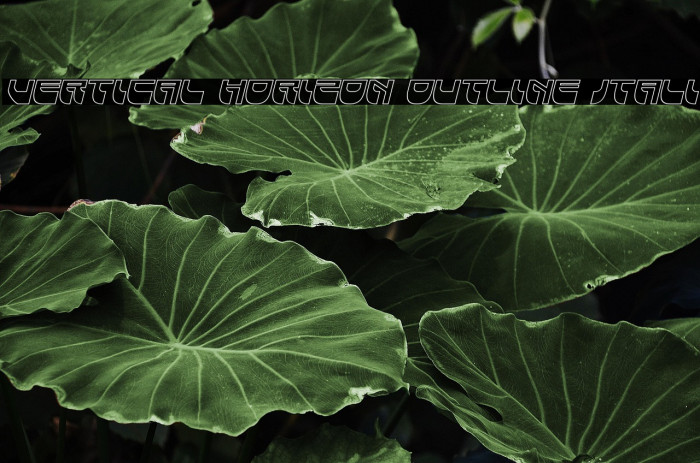 Vertical Horizon Outline Itali Example 2