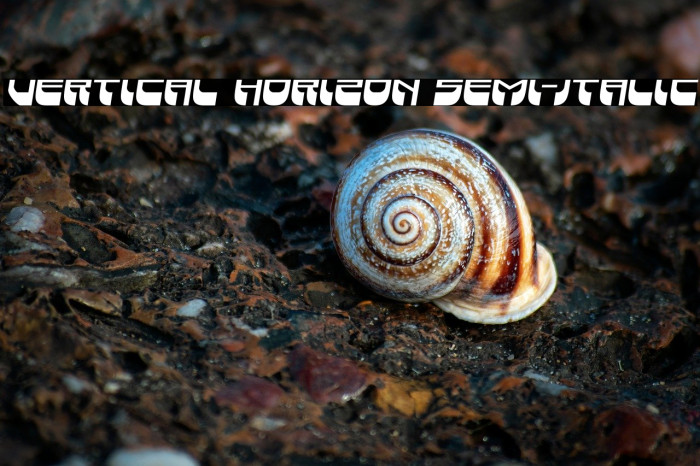 Vertical Horizon Semi-Italic Example 3