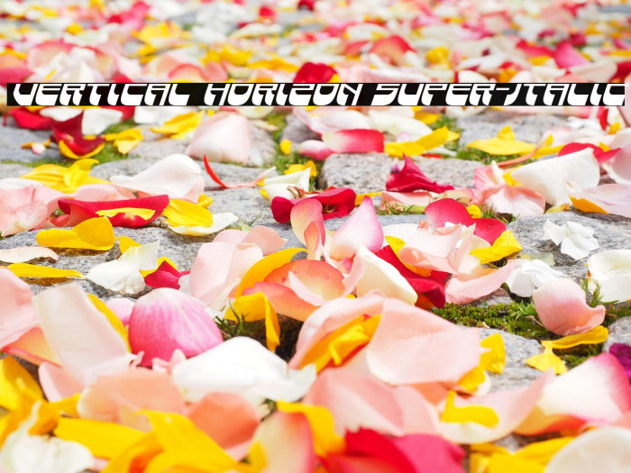 Vertical Horizon Super-Italic Example 3