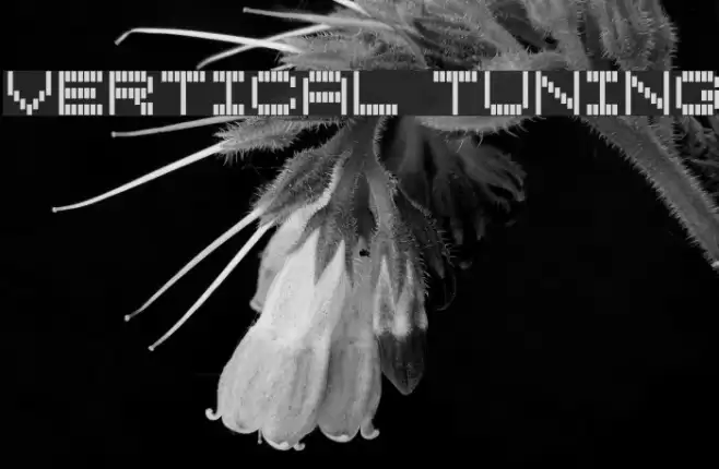 Vertical Tuning Caratteri examples