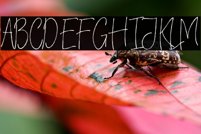 VerticalBrushyFree Example 1