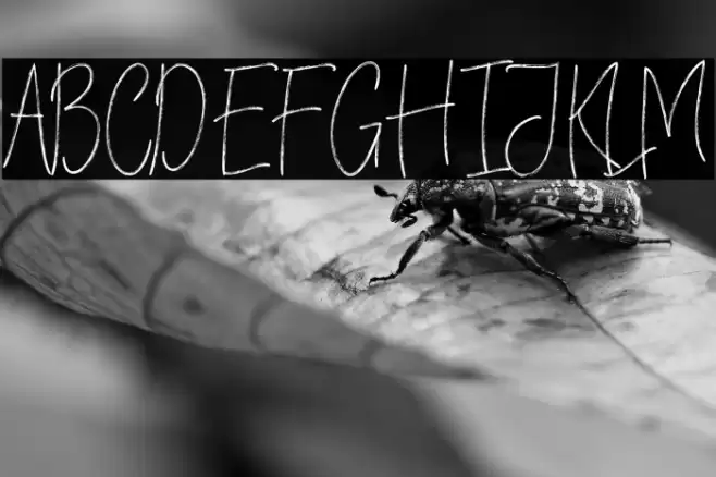 VerticalBrushyFree Font examples