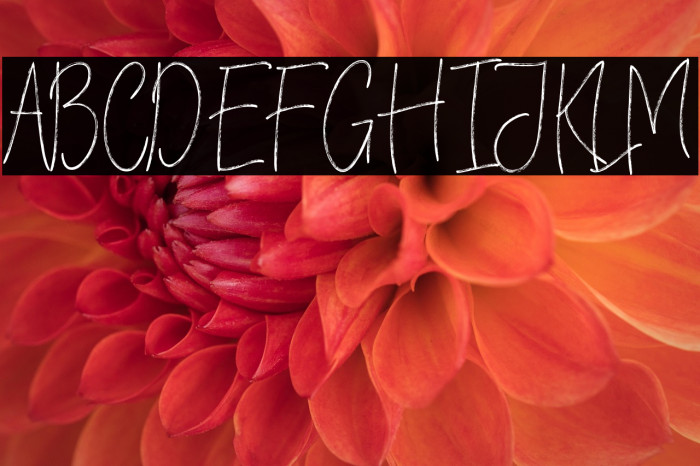 VerticalBrushyFree Example 3