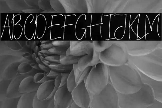 VerticalBrushyFree Font examples