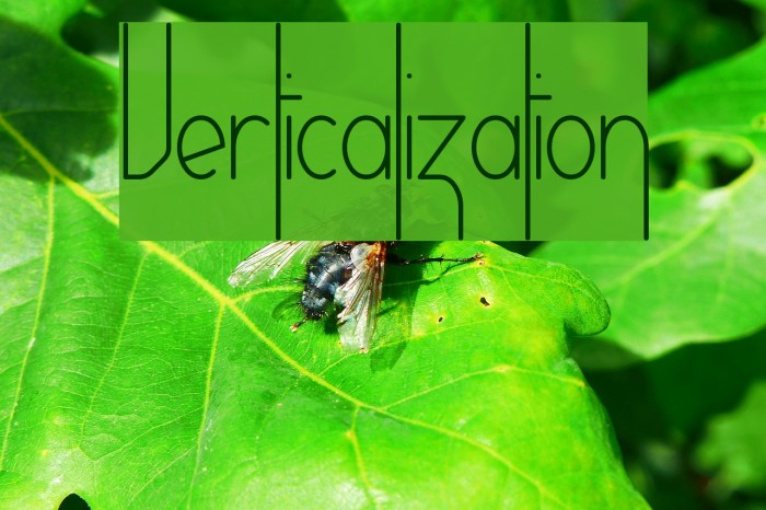 Verticalization Example 1