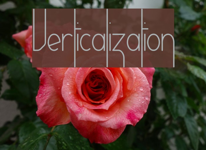 Verticalization Example 2