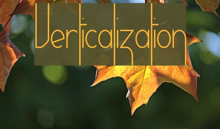 Verticalization Example 3