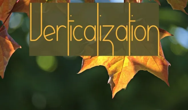 Verticalization Example 3