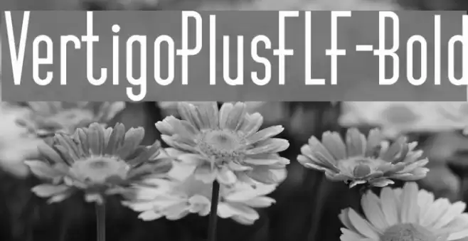 VertigoPlusFLF-Bold Font examples