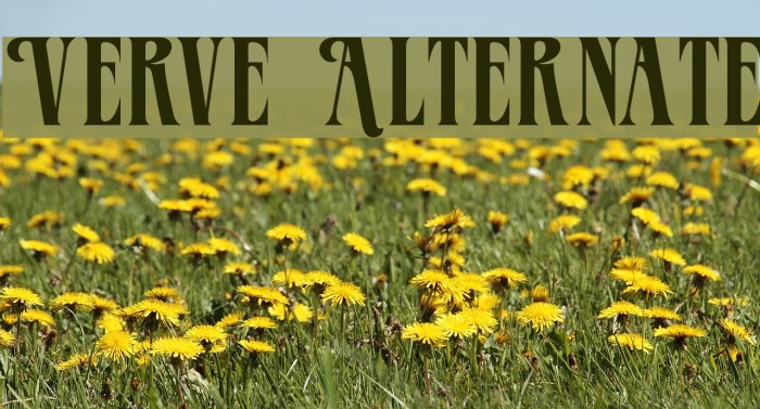 Verve Alternate Font examples
