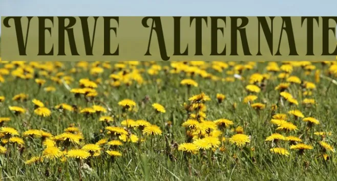 Verve Alternate Example 3