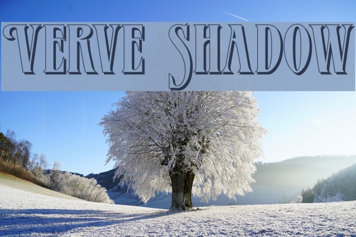 Verve Shadow Font examples