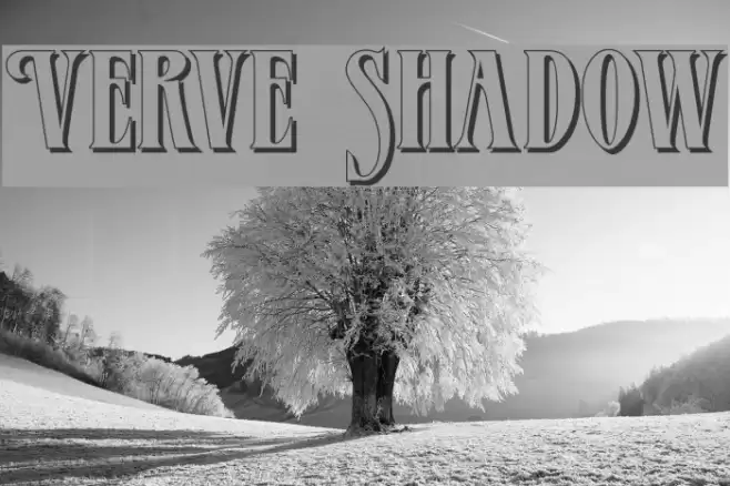 Verve Shadow Fuentes examples