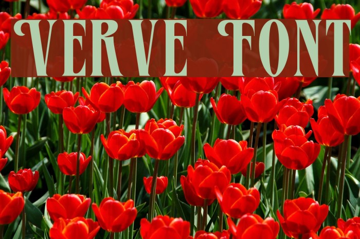 Verve Font examples