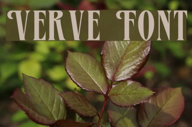 Verve Example 3