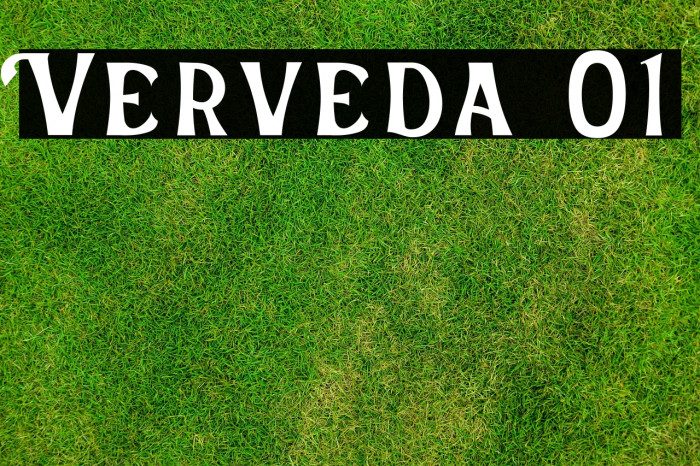 Verveda 01 Example 1