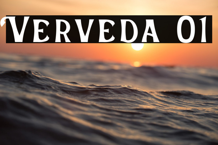 Verveda 01 Example 2