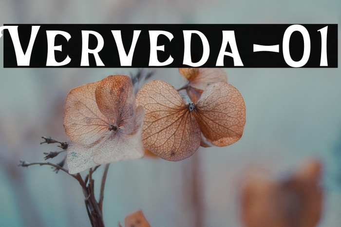 Verveda-01 Example 3