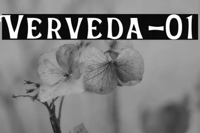 Verveda-01 Font examples