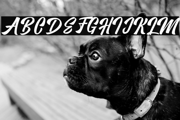 Vervelle Script Example 3