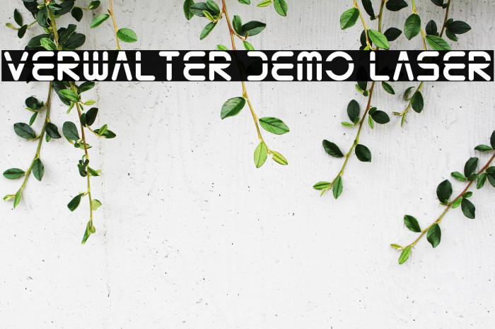 Verwalter Demo Laser Example 3